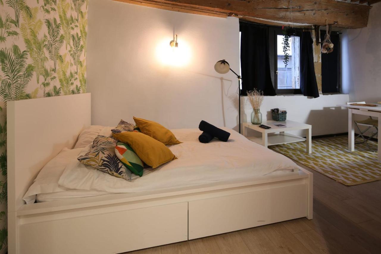 Charming Studio Centre Ville De Lyon Luaran gambar